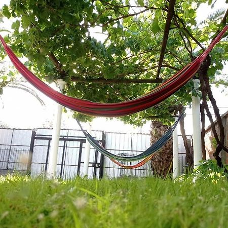 Hospedaje Curico Casa Grande Dış mekan fotoğraf