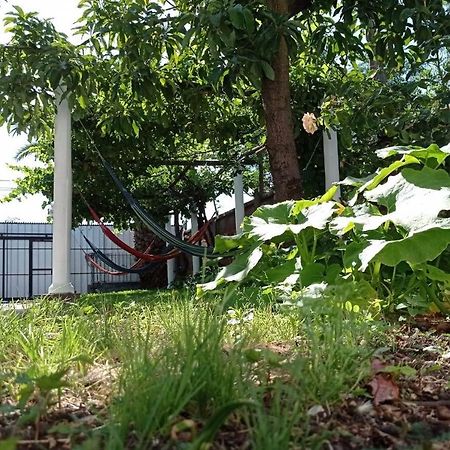 Hospedaje Curico Casa Grande Dış mekan fotoğraf